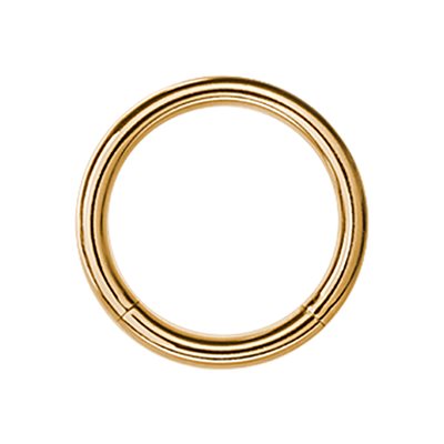 24k gold plated smooth segment ring
